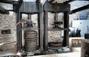 Old olive mill at Krapanj