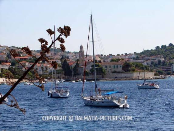 http://www.dalmatia-pictures.com/wp-content/uploads/2012/04/hvar_013.jpg